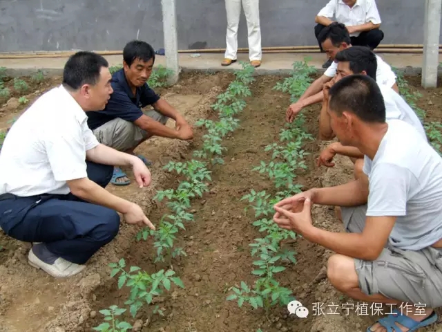 微生物菌劑的使用方法是什么？注意事項(xiàng)有哪些